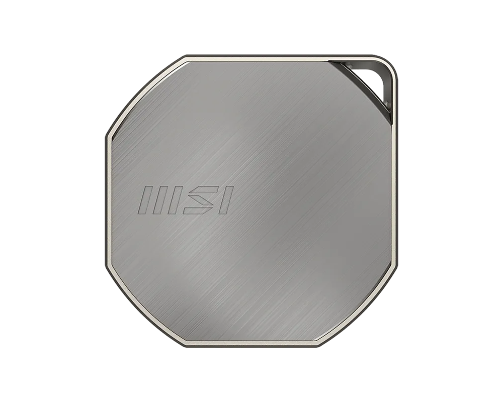 MSI 微星 DATAMAG 40Gbps 1TB 行動 SSD 圖片 1
